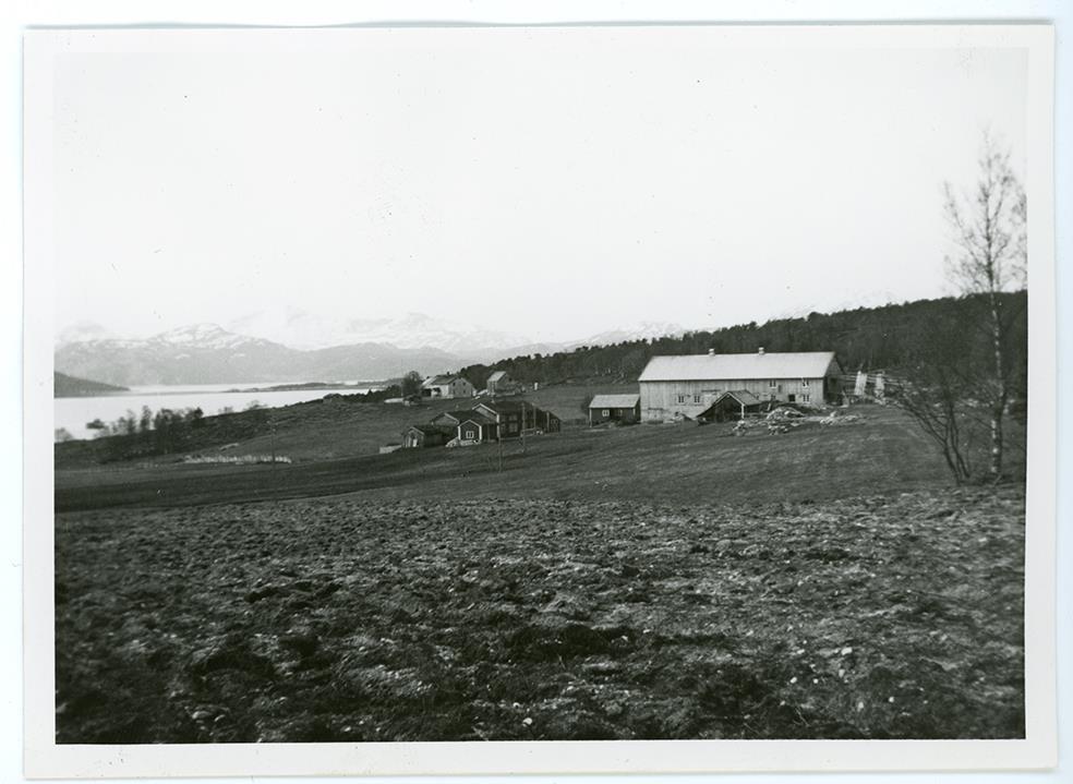 Pløyde jorder, gårdsbruk med bolighus og driftsbygninger. Et annet gårdsbruk i bakgrunnen. Fjord og fjell. - Klikk for stort bilde
