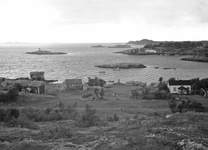 NESSET og handelsstedet på andre siden av vika, slik det fortonte seg fra Gåsvikhaugen i 1950. Foto fra Lillegaardsamlingen, Helgeland Museum. - Klikk for stort bilde