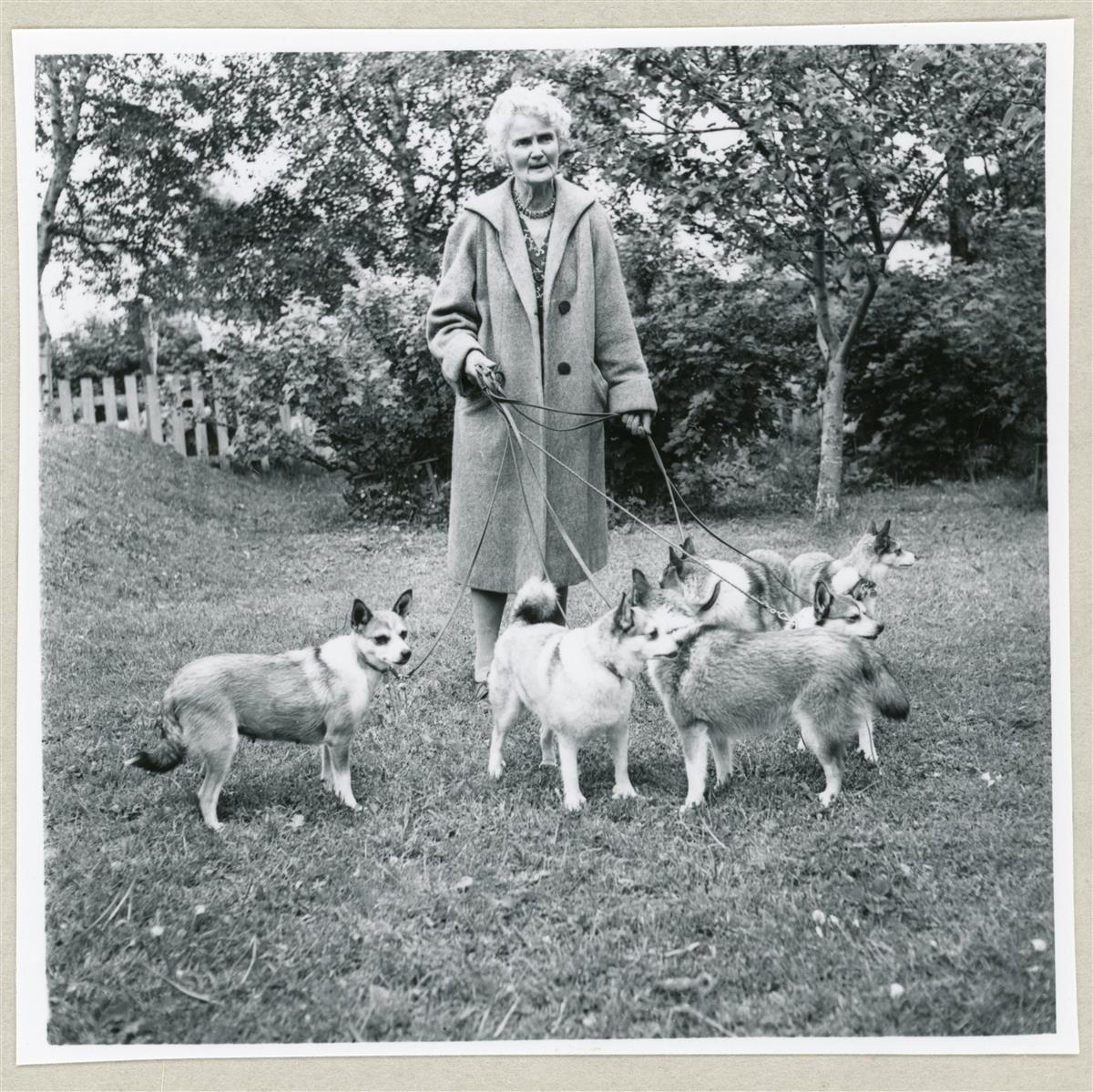 Eleanor Christie med lundehundene hennes - Klikk for stort bilde