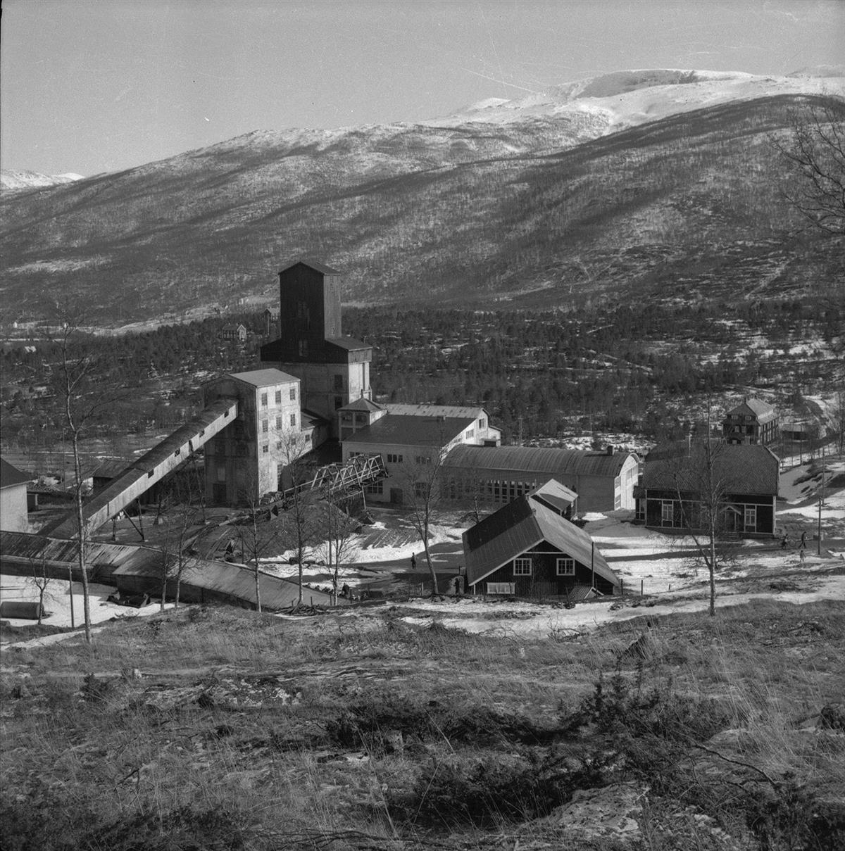 Bjørkåsen gruver fylkesleksikon Nordland